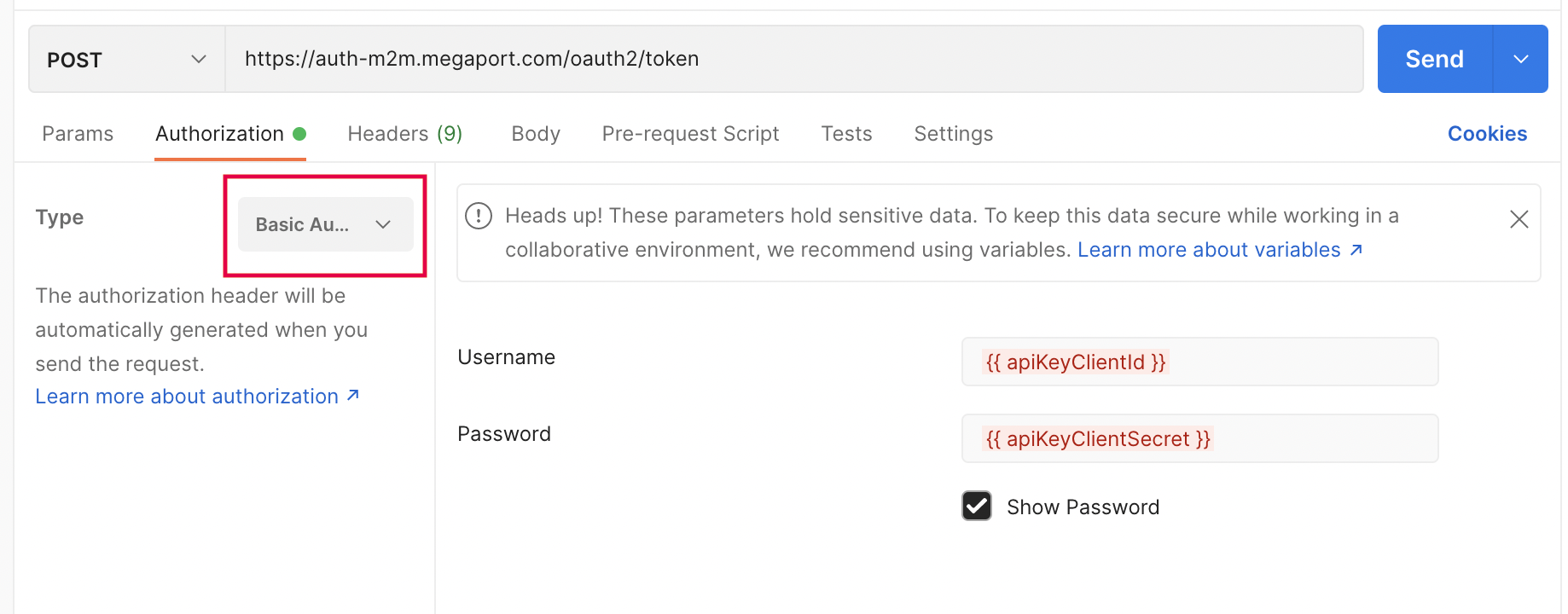 Access Token Endpoint Authorization Parameters