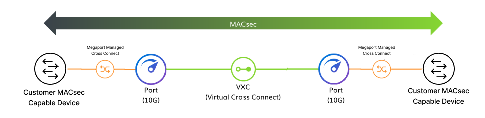 MACsec customer to customer diagram. This image shows the structure of a MACsec encryption connection from the customer with a MACsec capable switch through a physical connection to a Megaport Port. This is connected to another Megaport Port via a Virtual Cross Connect (VXC). The second Megaport Port is connected via a physical connection to the customer's second MACsec capable switch.  