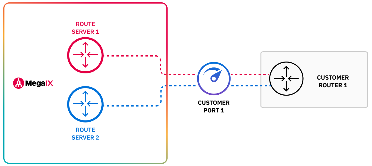 Single and Redundant IX configuration