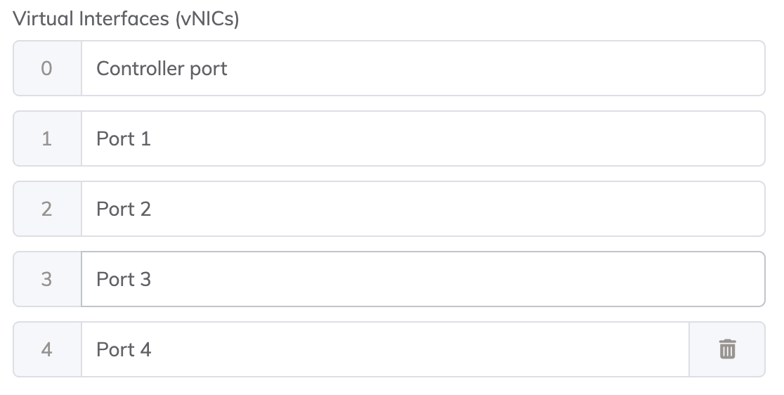 Add name for the vNIC