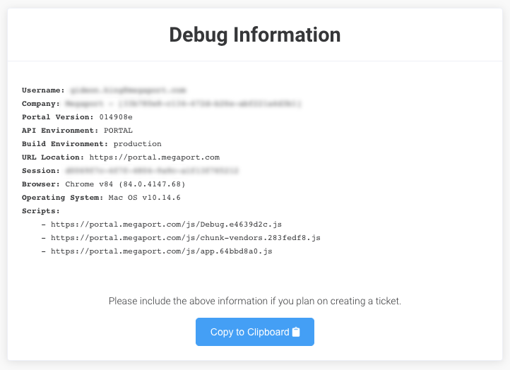 Debug Information page